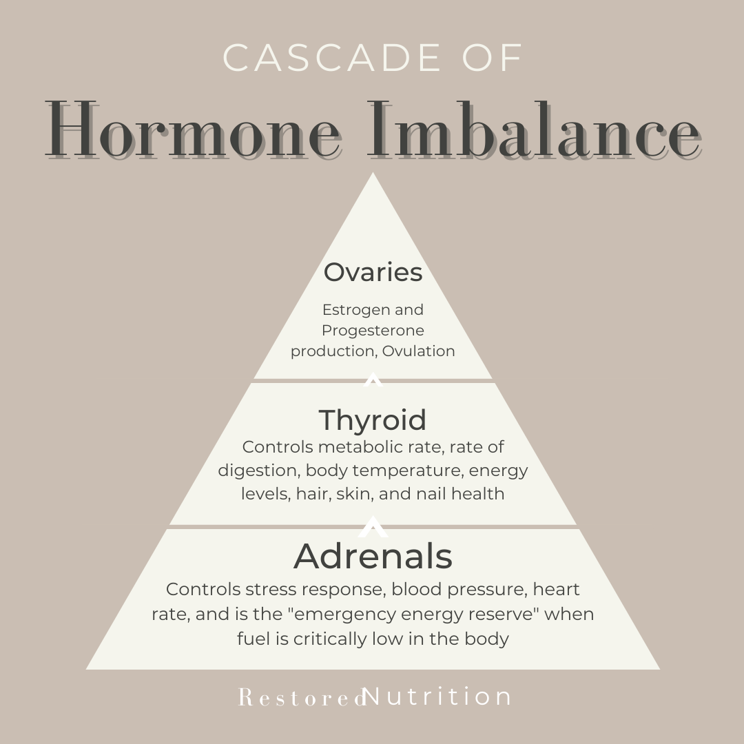 Hormone balance and energy levels